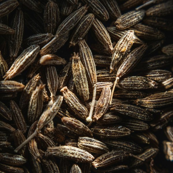 Cumin seeds (jeera)