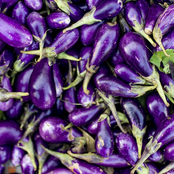Indian eggplant