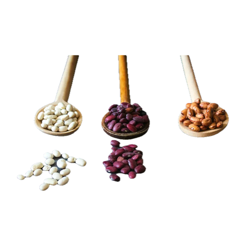 Rajma (red kidney beans)